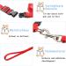 Soft Cat Crockery Dishes & Adjustable Leash Set for Kittens Puppies and Rabbits - Red & Blue - International Shipping Available - Buy Online on GoSupps.com