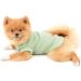 Paidful Soft Cotton Vest T-Shirts for Small to Medium Dogs & Cats - Breathable Summer Clothing for Puppies Chihuahuas and Yorkies - Green XXL - Buy Online on GoSupps.com