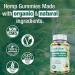 (2 Packs) Hemp Gummies High Potency for Sleep, Pain, Anxiety- Pure Extra Strength Organic H mp Oil Gummies - 100% Natural Bear Hemp Gummy for Adults Fruit - Buy Online on GoSupps.com