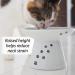 Necoichi Extra Wide Raised Cat Food Bowl - Promote Healthy Eating Habits for Your Feline Friend - Buy Online on GoSupps.com
