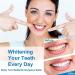 Body Accel Whitening Toothpaste - Complete Care & Fresh Breath Dental Paste (2PCs) | Banish Tooth Stains & Enhance Oral Hygiene - International Shipping Available - Buy Online on GoSupps.com