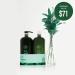 Tea Tree Tingle Special Liter Duo Set - Ultimate Hair and Scalp Care Combo - Buy Online on GoSupps.com