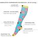 LEOSTEP Compression Socks for Women (3 Pairs) 20-30mmHg Knee High Support Stockings for Nurse, Flight, Sports, Travel, Pregnancy - S-M, Donuts Design - Buy Online on GoSupps.com