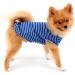 Shop Paidful 100% Cotton Summer Striped T-Shirt for Small Dogs - Blue Welpe Tee for Chihuahua & Yorkshire | Sizes M (Back Length 25cm Bust 37cm) - Buy Online on GoSupps.com