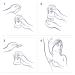 Dove Invisible Solid Antiperspirant Deodorant Stick for Women - Fresh - 2.6 oz - Buy Online on GoSupps.com