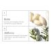 Briogeo Omega 3 6 9 + Biotin Supplements for Healthy Hair - 120 Softgels - Buy Online on GoSupps.com