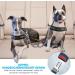 Buy Slowton 2-in-1 Stroke Belt Dog Car - Durable Adjustable Tangle-Free Elastic Seat Belt for Medium Dogs - Reflective Design for Safe Travel - Buy Online on GoSupps.com