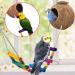 KATUMO Natural Coconut Bird House with Colorful Toys & Ladder - for Parakeet, Conure, Cockatiel, Mynah, Love Birds, Finch - Hanging Chewing Toys, Hammock, Climbing Ladder, Bells Included - Buy Online on GoSupps.com