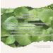 Buy The Plant Base AC Clear Pure N CICA Toner 180ml - Korean Skincare for Acne Care with 90% Centella Asiatica | Soothing Plant Extracts - Buy Online on GoSupps.com