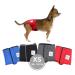 Sailing trousers for bitches 2.0 - dog diapers made of high -quality perforated neoprene for an optimal air exchange - dog diapers for male without the annoying threading of the rod (XS -Rot) XS red