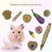 Natural Guinea Pig & Rabbit Chew Toys - Promotes Dental Health & Relieves Anxiety (10 pcs) - Buy Online on GoSupps.com