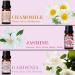 SALKING Floral Essential Oils Set | Premium Natural Scented Oils for Diffusers - Lavender Rose Jasmine & More | 6 x 10 ML - Buy Online on GoSupps.com