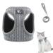 Cat dishes with a leash outbreak -proof cat leash with dishes for cats adjustable cat dishes breakout reflective tableware set for cats Small dogs (gray XS) XS gray