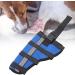 Dog Right Rear Leg Hock Brace - Prevent Injuries Provide Stability with Support Strip Neoprene Material (S) - Buy Online on GoSupps.com
