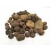 0.5 Gallon Penn-Plax Aquaponic Betta Fish Tank - Healthy Environment for Plants and Fish - Buy Online on GoSupps.com