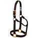 WEAVER Leather Non-adjustable Halter Brown Average Horse