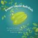 Irwin Naturals Healthy Track Prebiotic - 60 Liquid Soft-Gels for Digestive Wellness - Buy Online on GoSupps.com