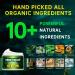 Natural Hemp Cream with Arnica, MSM, Turmeric, Emu Oil, Menthol, Aloe - 8 fl oz for Pain Relief in Muscles, Joints, Lower Back, Knees, Neck, Fingers, Elbows - Buy Online on GoSupps.com