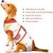 Kuoser Dog Body After Surgery | Breathable Post-Op Bodysuit for Male & Female Dogs & Cats | XXL Leak Protection & Protective Collar Alternative - Buy Online on GoSupps.com