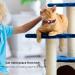 Kolacen Reflecting Airtag Cat Collection - Adjustable Airtag Neck Band & Shell for Pets - Red - Buy Online on GoSupps.com