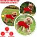 Small Dog Jumper Warm Puppy Knitted Pullover Sweaters Winter Dog Cat Jumper Knitwear Sweater Apparel Small Pet Coat Costume Dog Clothes Comfortable Knitted Sweater for Small Dog Cat (Size 14 Red) Size 14 Red - Buy Online on GoSupps.com