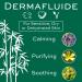 Buy Christine Valmy Dermafluide Makeup Removing Daily Facial Cleansing Milk - 4.73 oz | Best International Shipping - Buy Online on GoSupps.com
