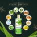 Aloe Vera Green Tea & Cucumber Face Toner - Hydrating & Alcohol-Free - 150ml - Best International Shipping - Buy Online on GoSupps.com