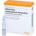 Ubichinon Compositum Ampoules - Pack of 10 - 2.2ml - Buy Online on GoSupps.com