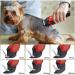 Solimpia Pet Clippers - Rechargeable Cordless Grooming Trimmer Kit for Dogs and Cats | Low Noise Professional Pet Hair Shaver Set - Buy Online on GoSupps.com