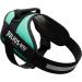 IDC Power Harness Dog Harness - Size L/1 - Grass Green | International Shipping Available - Buy Online on GoSupps.com