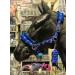 Equipride Horse Print Fur Padded Nylon Headcollars with Lead Rope Royal Blue (Mini Shetland) Royal Blue Mini Shetland - Buy Online on GoSupps.com