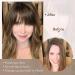 REECHO 100% Human Hair Wispy Bangs Clip in Extensions - Ash Brown Air Bangs for Women - Buy Online on GoSupps.com
