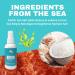 Sea Salt Surf Spray with Coconut Water for Beachy Waves & Texture (8 oz) 8 Fl Oz (Pack of 1) - Buy Online on GoSupps.com
