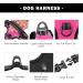 Phoepet Reflective Adjustable Dog Harness for Small Dogs - Pink L - Front Clip Vest with Handle 2 Metal Rings & 3 Buckles - Comfortable & Secure Fit - Buy Online on GoSupps.com
