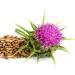 Mimea Milk Thistle Seeds Whole 1kg - Natural Quality Ingredients, No Additives, Liver Support - Pack of 1 - Buy Online on GoSupps.com