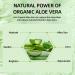 98% Organic Aloe Vera Moisturizer Facial Cream | Anti-Wrinkle & Hydrating for Dry Skin & Acne Scars - Buy Online on GoSupps.com