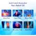 Jointer Pain Oil | Ayurvedic Herbal Remedy for Joint & Muscle Relief (60 ML) - Fast & Lasting Pain Relief - Buy Online on GoSupps.com