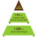 Organic Apple Cider Vinegar 1500mg - Pure & Raw for Healthy Digestion & Detox - 60 Day Supply - Buy Online on GoSupps.com