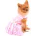 Luxury Pink Pet Dress for Small Dogs & Cats - Summer Wedding & Birthday Tutu with Rose Flower Lace & Silky Bowknot - Perfect for Chihuahuas - Paidful - Buy Online on GoSupps.com