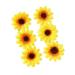 SPONGL Party Hairclip 6PCS Sun Flower Hair Barrettes for Casual Formal Festival Hair Clip Women Girl Hair Styling Tool Nonslip Flower Side Pin Yellow