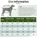 Shop Convinit Winter Dog Sweater for Small & Medium Breeds | Warm Knitted Roll Collar for Chihuahua Dachshund French Bulldog - Green - Buy Online on GoSupps.com