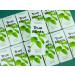 Buy Gum on a Mission Mints - Fresh Mint | Vegan Sugar-Free Herbal Pastilles | 1 x 13g | International Shipping Available - Buy Online on GoSupps.com