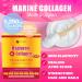 FINE JAPAN Premium Marine Collagen Powder with Hyaluronic Acid, CoQ10 & Elastin - Non-GMO - 30 Servings (210g / 7.4oz) Made in Japan - Buy Online on GoSupps.com