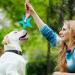 Vipnaji Puppy Toys - 15PCS Long-Lived Plush & Rope Toys for Small & Medium Dogs | Non-Toxic & Safe Cotton Wool | Perfect for Puppies - Buy Online on GoSupps.com