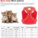 Shop Neuwehe Cat Dishes & Leash Set - Adjustable Harness for Cats & Small Dogs - Leak-Proof Tableware in Red (L) - Buy Online on GoSupps.com