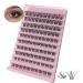 Lash Clusters 100Pcs DIY Individual Eyelash Extenisons Natural Look D Curl Cluster eyelashes 8-16MM Reusable Individuals DIY at Home (#04) Wispy Lashes