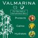Christine Valmy Valmarina Light Nighttime Moisturizing Lotion - Hydrating 1.69 oz | International Shipping Available - Buy Online on GoSupps.com