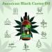 Jamaican Black Castor Oil 100% Pure Cold Pressed - Organic Hair Growth Eyelash & Eyebrow Enhancer Moisturizing Massage Oil 120ml | International Shipping - Buy Online on GoSupps.com