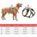 Buy Heele Dog Harness - Reflective Breakout Buckle Robust Handle Panic Clip - Perfect Fit in Green - Buy Online on GoSupps.com