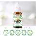  VITATIV Nettle (Urtica Dioica) Concentrated Liquid Extract Alcohol Free Drops 30ml | Plant Extract | Vegan - Buy Online on GoSupps.com